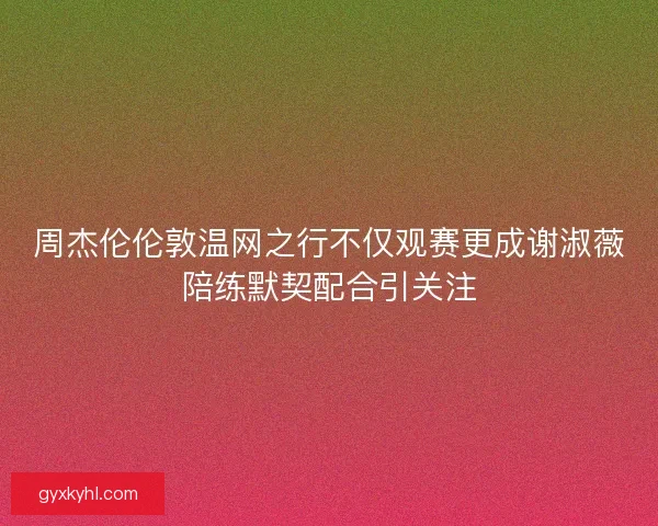 周杰伦伦敦温网之行不仅观赛更成谢淑薇陪练默契配合引关注