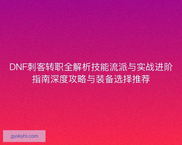 DNF刺客转职全解析技能流派与实战进阶指南深度攻略与装备选择推荐